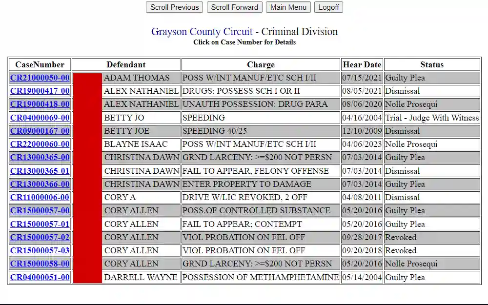 A screenshot displays a list of cases from the Grayson County Circuit Court - Criminal Division, including case number, defendant name, charge, hearing date and status.